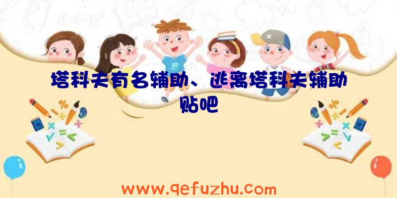 塔科夫有名辅助、逃离塔科夫辅助贴吧