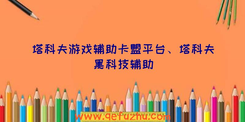 塔科夫游戏辅助卡盟平台、塔科夫黑科技辅助