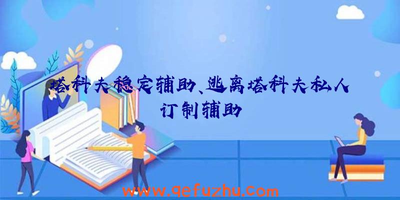 塔科夫稳定辅助、逃离塔科夫私人订制辅助