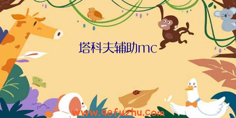 塔科夫辅助mc