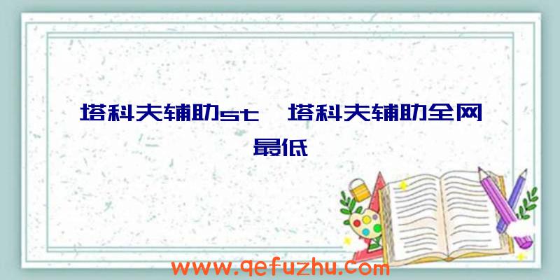 塔科夫辅助st、塔科夫辅助全网最低