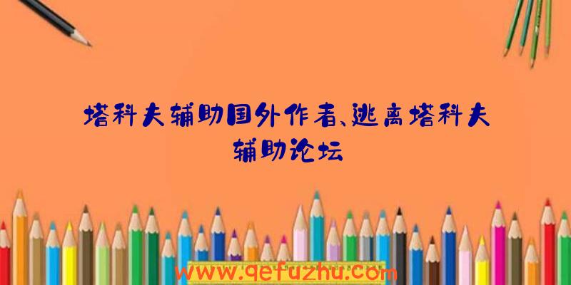 塔科夫辅助国外作者、逃离塔科夫辅助论坛