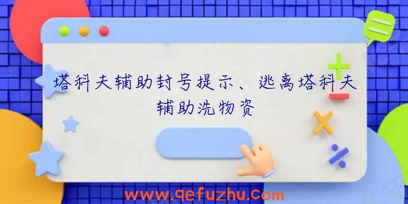 塔科夫辅助封号提示、逃离塔科夫辅助洗物资