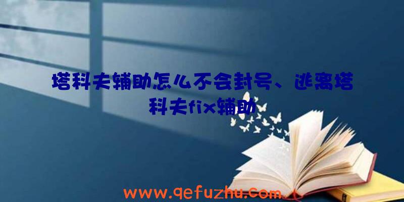 塔科夫辅助怎么不会封号、逃离塔科夫fix辅助