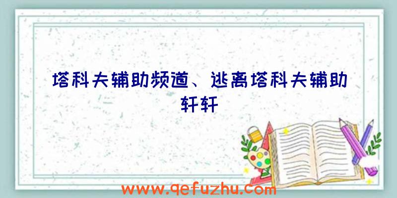 塔科夫辅助频道、逃离塔科夫辅助轩轩