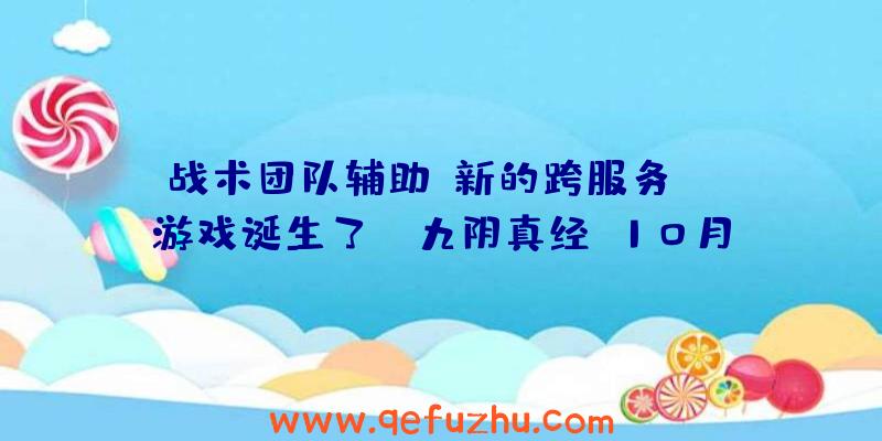 战术团队辅助:新的跨服务PVP游戏诞生了!《九阴真经》10月