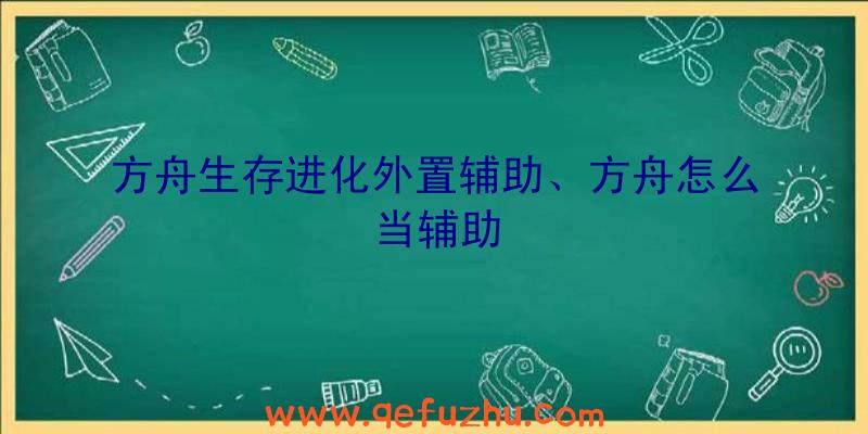 方舟生存进化外置辅助、方舟怎么当辅助