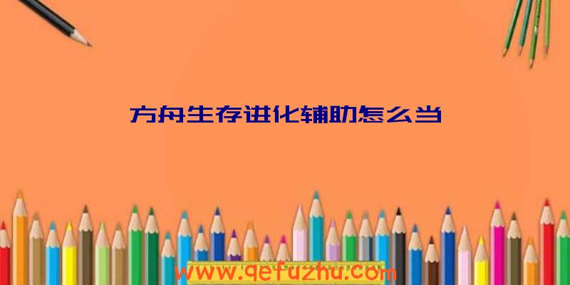 方舟生存进化辅助怎么当