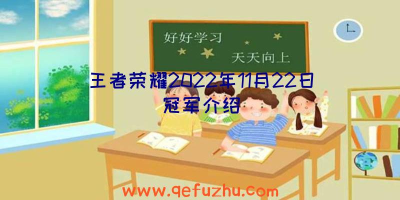 王者荣耀2022年11月22日冠军介绍