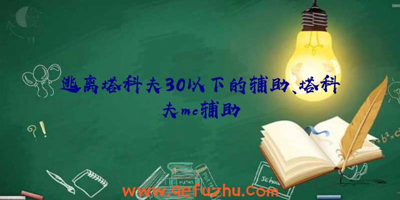 逃离塔科夫30以下的辅助、塔科夫mc辅助