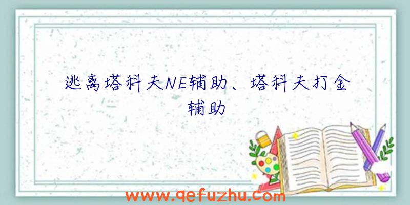 逃离塔科夫NE辅助、塔科夫打金辅助