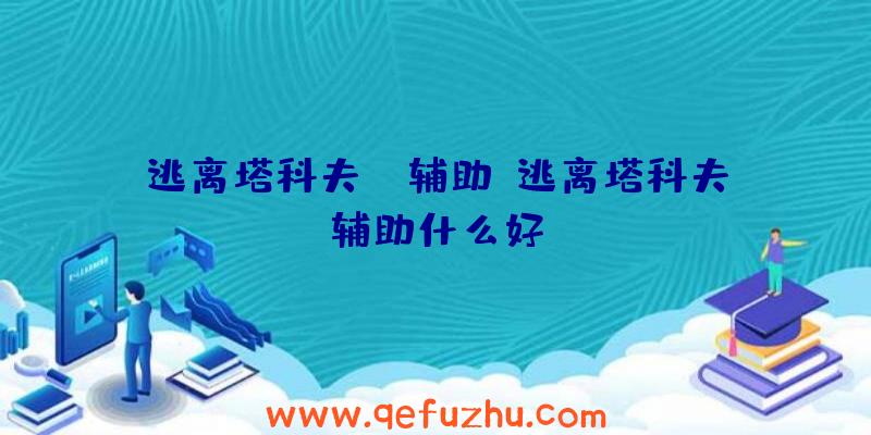 逃离塔科夫RW辅助、逃离塔科夫辅助什么好