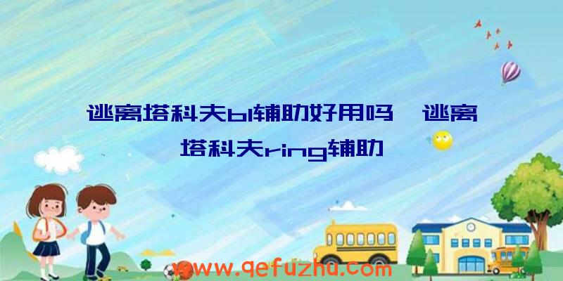 逃离塔科夫bl辅助好用吗、逃离塔科夫ring辅助