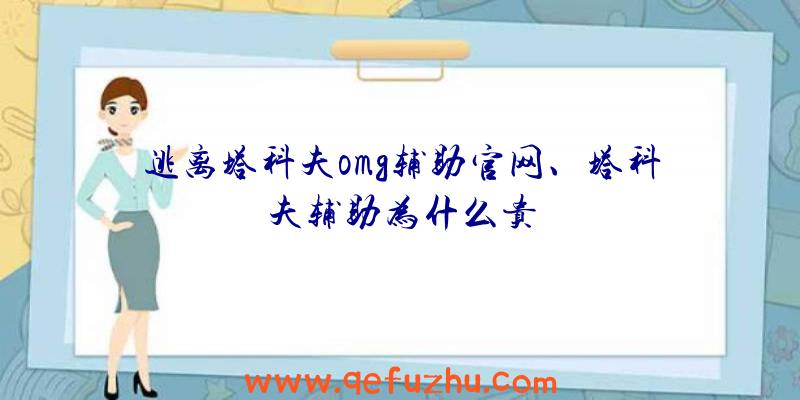 逃离塔科夫omg辅助官网、塔科夫辅助为什么贵