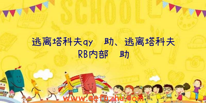 逃离塔科夫qy辅助、逃离塔科夫RB内部辅助