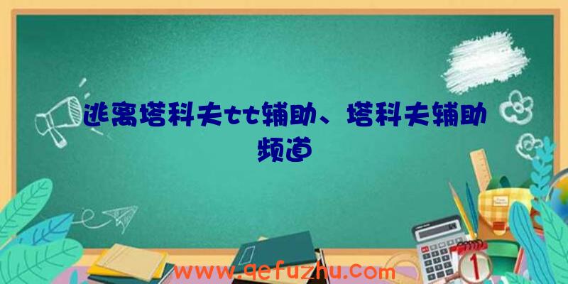 逃离塔科夫tt辅助、塔科夫辅助频道