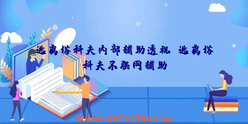 逃离塔科夫内部辅助透视、逃离塔科夫不联网辅助