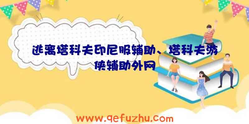 逃离塔科夫印尼服辅助、塔科夫游侠辅助外网