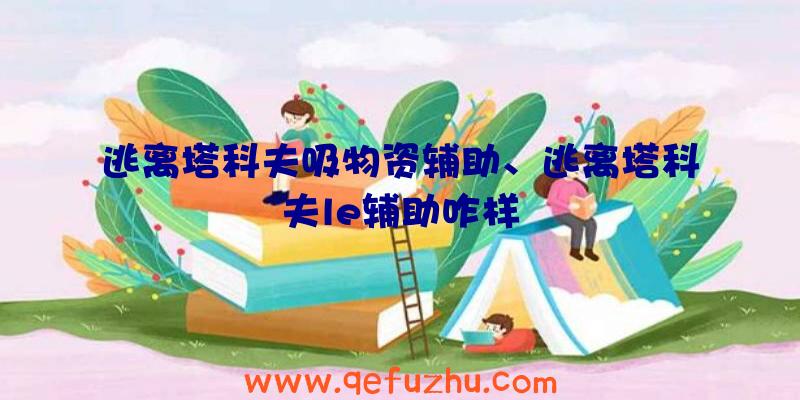 逃离塔科夫吸物资辅助、逃离塔科夫le辅助咋样