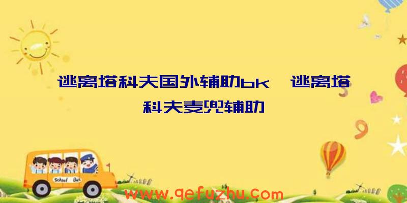 逃离塔科夫国外辅助bk、逃离塔科夫麦兜辅助