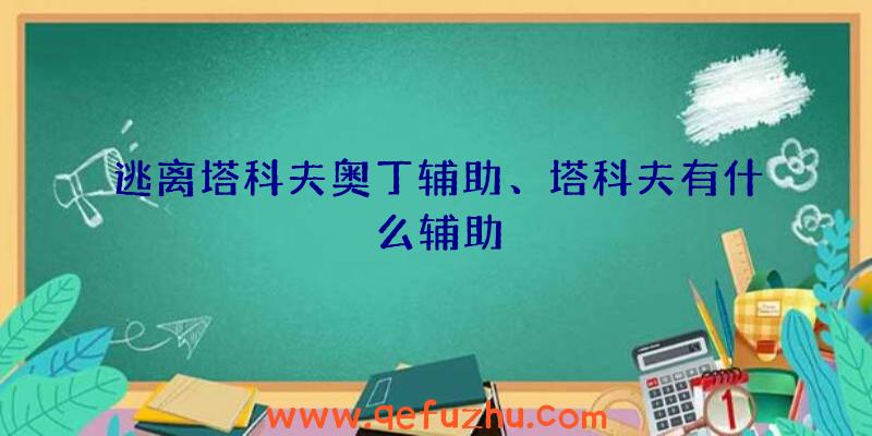 逃离塔科夫奥丁辅助、塔科夫有什么辅助