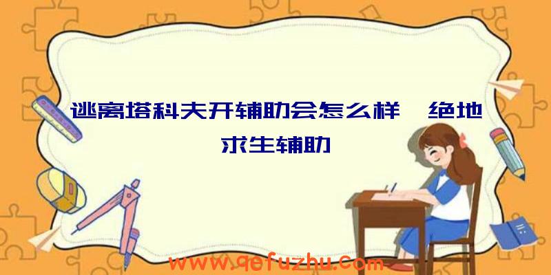 逃离塔科夫开辅助会怎么样、绝地求生辅助