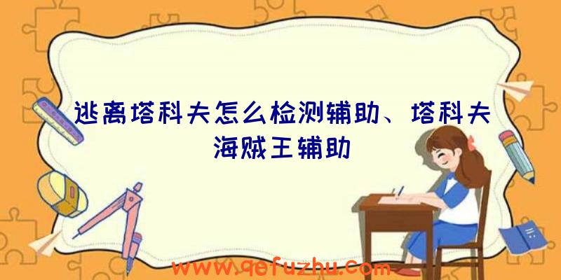 逃离塔科夫怎么检测辅助、塔科夫海贼王辅助