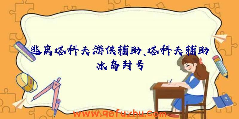 逃离塔科夫游侠辅助、塔科夫辅助冰岛封号