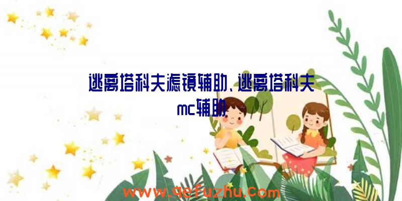 逃离塔科夫滤镜辅助、逃离塔科夫mc辅助