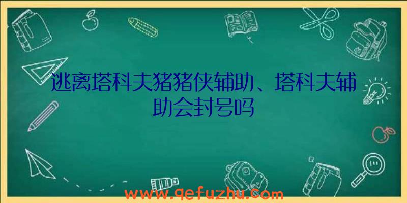 逃离塔科夫猪猪侠辅助、塔科夫辅助会封号吗