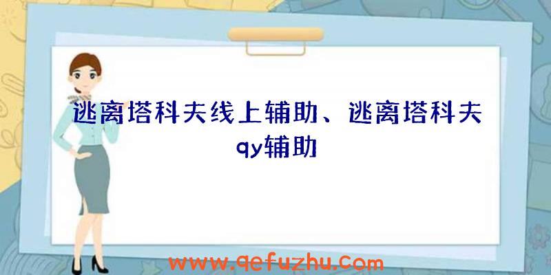 逃离塔科夫线上辅助、逃离塔科夫qy辅助