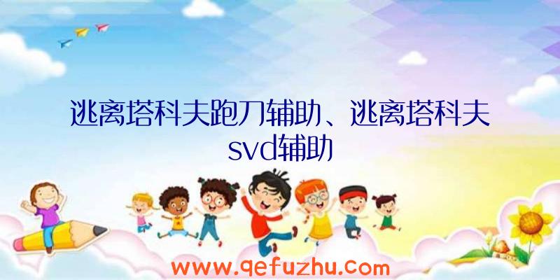 逃离塔科夫跑刀辅助、逃离塔科夫svd辅助