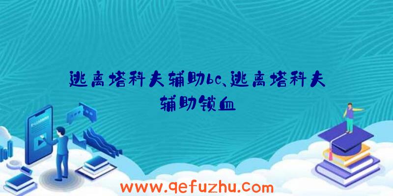 逃离塔科夫辅助bc、逃离塔科夫辅助锁血