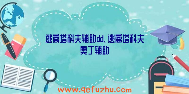 逃离塔科夫辅助dd、逃离塔科夫奥丁辅助