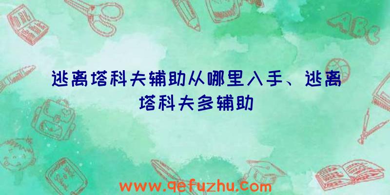 逃离塔科夫辅助从哪里入手、逃离塔科夫多辅助