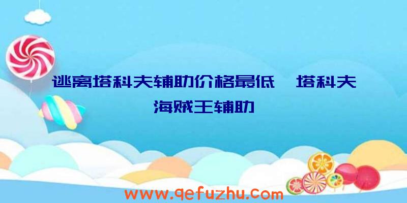 逃离塔科夫辅助价格最低、塔科夫海贼王辅助