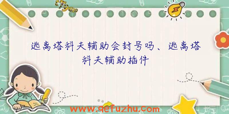 逃离塔科夫辅助会封号吗、逃离塔科夫辅助插件