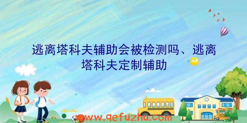 逃离塔科夫辅助会被检测吗、逃离塔科夫定制辅助