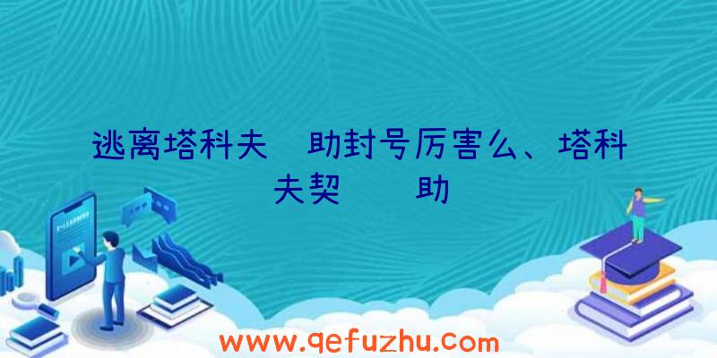 逃离塔科夫辅助封号厉害么、塔科夫契约辅助