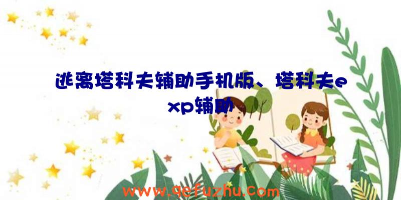 逃离塔科夫辅助手机版、塔科夫exp辅助