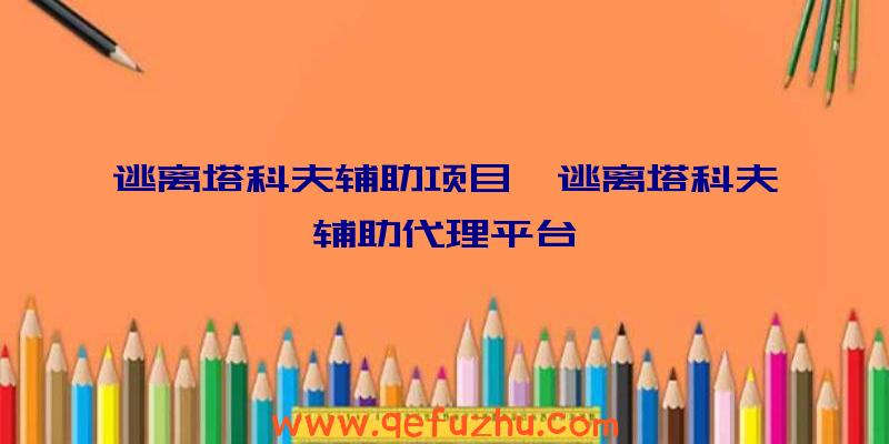 逃离塔科夫辅助项目、逃离塔科夫辅助代理平台