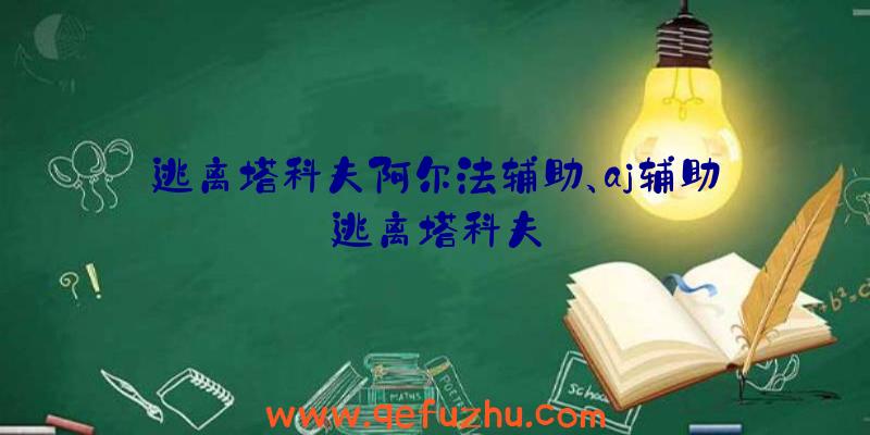 逃离塔科夫阿尔法辅助、aj辅助逃离塔科夫