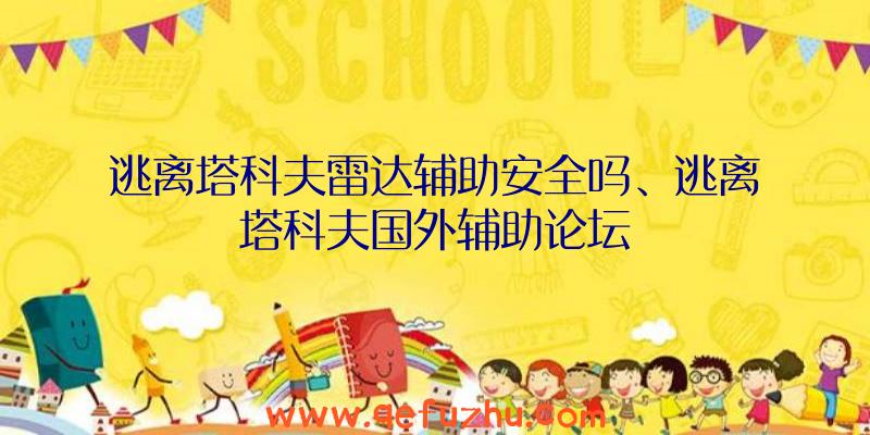 逃离塔科夫雷达辅助安全吗、逃离塔科夫国外辅助论坛