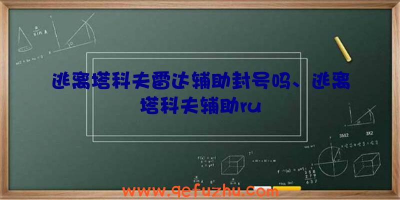 逃离塔科夫雷达辅助封号吗、逃离塔科夫辅助ru