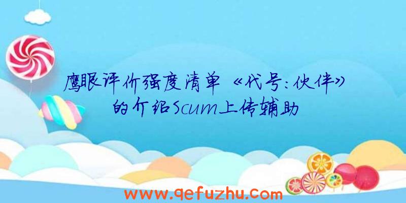 鹰眼评价强度清单《代号:伙伴》的介绍Scum上传辅助