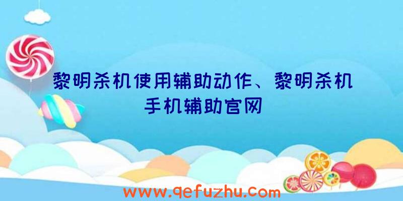 黎明杀机使用辅助动作、黎明杀机手机辅助官网