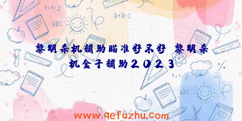 黎明杀机辅助瞄准好不好、黎明杀机盒子辅助2023