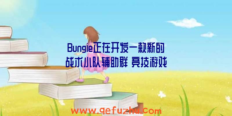 Bungie正在开发一款新的《战术小队辅助群》竞技游戏