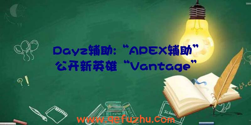 Dayz辅助:“APEX辅助”公开新英雄“Vantage”