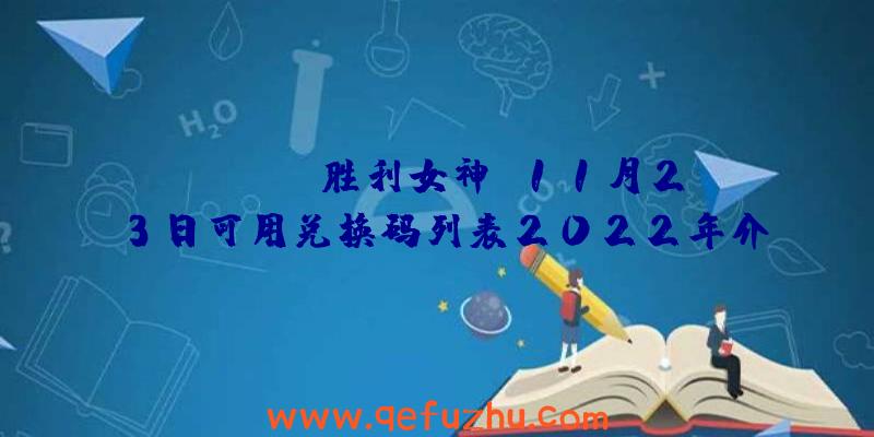 NIKKE《胜利女神》11月23日可用兑换码列表2022年介